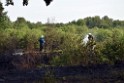 Waldbrand Koeln Hoehenhaus Hoehenfelder Mauspfad P094